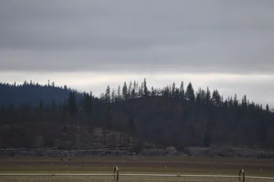 DSC_5873 (Large).JPG